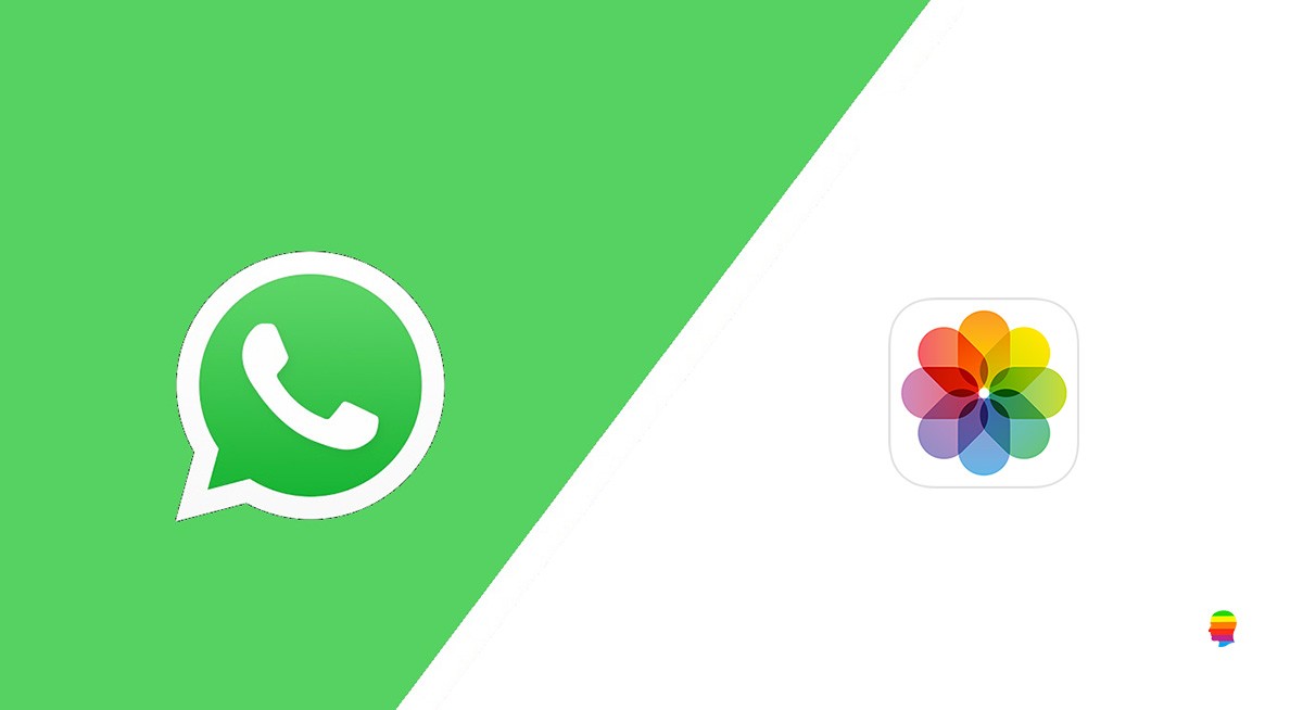 Spostare, salvare foto, video da WhatsApp su galleria iPhone